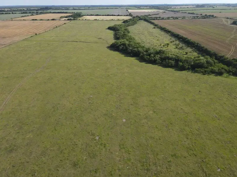 Venta de campos en Gualeguaychú,Campos ganaderos en venta Entre Ríos,Terrenos agrícolas en Gualeguaychú,Venta de campos mixtos en Entre Ríos,Oportunidades de inversión en tierras en Entre Ríos,Campos productivos en venta en Gualeguaychú,Inversiones rurales en Gualeguaychú,Venta de propiedades rurales en Entre Ríos,Terrenos para agricultura y ganadería en Gualeguaychú