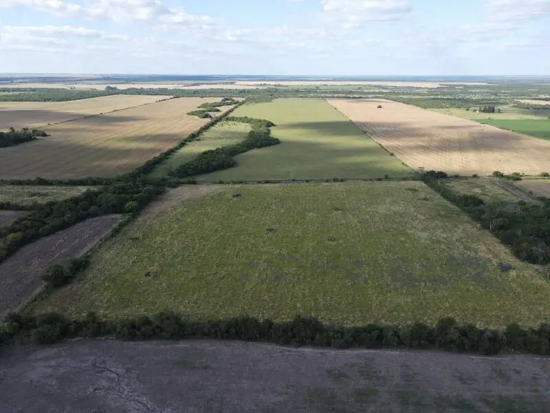 venta de campos en entre rios campos en entre rios campos argentinos inmobiliaria en gualeguaychú 65 hectáreas mixtas en rosario del tala (2)