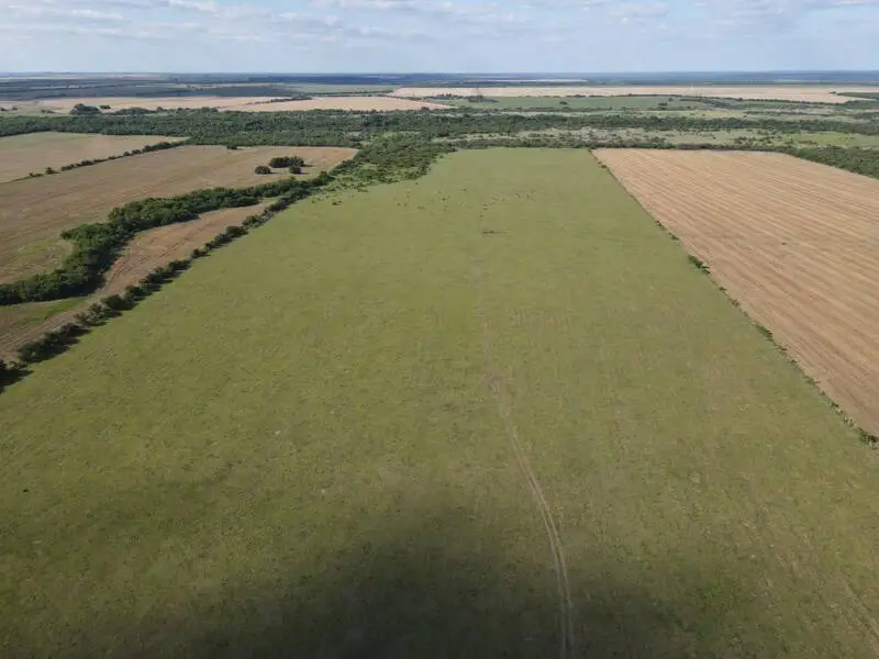 venta de campos en entre rios campos en entre rios campos argentinos inmobiliaria en gualeguaychú 65 hectáreas mixtas en rosario del tala (3)