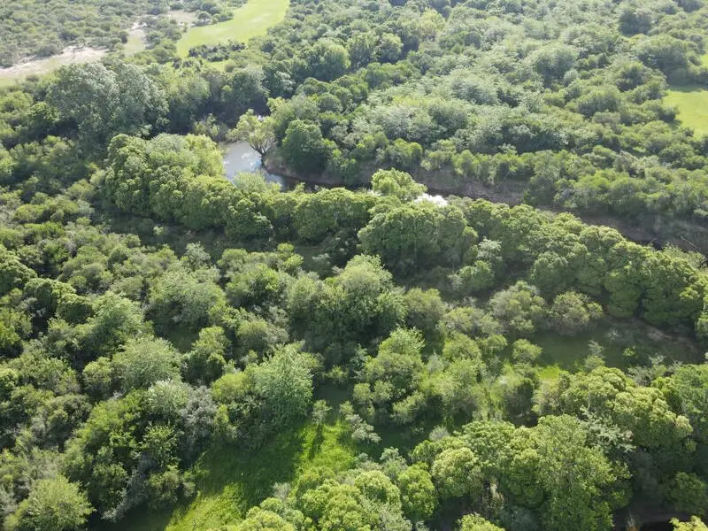 Venta de campos en Gualeguaychú,Campos ganaderos en venta Entre Ríos,Terrenos agrícolas en Gualeguaychú,Venta de campos mixtos en Entre Ríos,Oportunidades de inversión en tierras en Entre Ríos,Campos productivos en venta en Gualeguaychú,Inversiones rurales en Gualeguaychú,Venta de propiedades rurales en Entre Ríos,Terrenos para agricultura y ganadería en Gualeguaychú