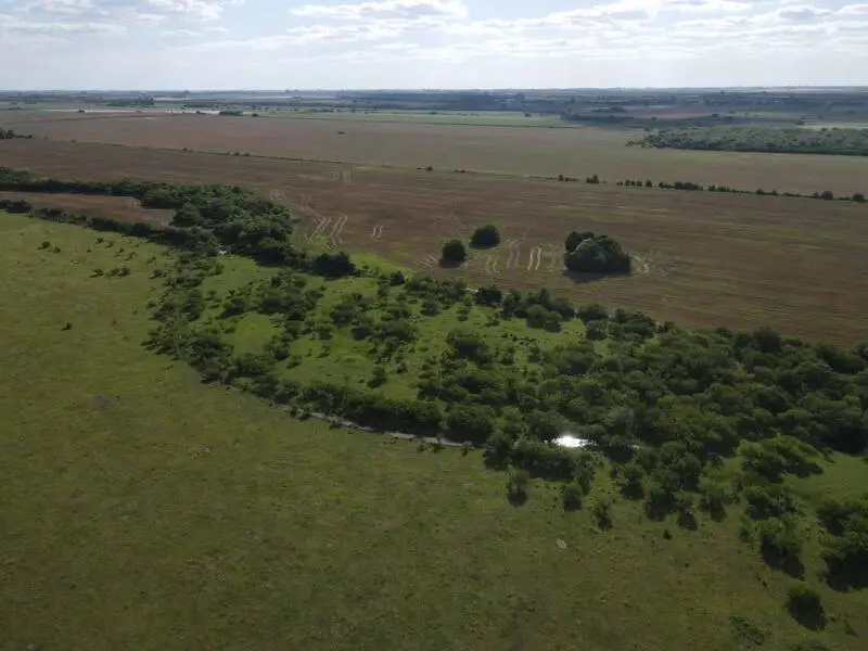 Venta de campos en Gualeguaychú,Campos ganaderos en venta Entre Ríos,Terrenos agrícolas en Gualeguaychú,Venta de campos mixtos en Entre Ríos,Oportunidades de inversión en tierras en Entre Ríos,Campos productivos en venta en Gualeguaychú,Inversiones rurales en Gualeguaychú,Venta de propiedades rurales en Entre Ríos,Terrenos para agricultura y ganadería en Gualeguaychú