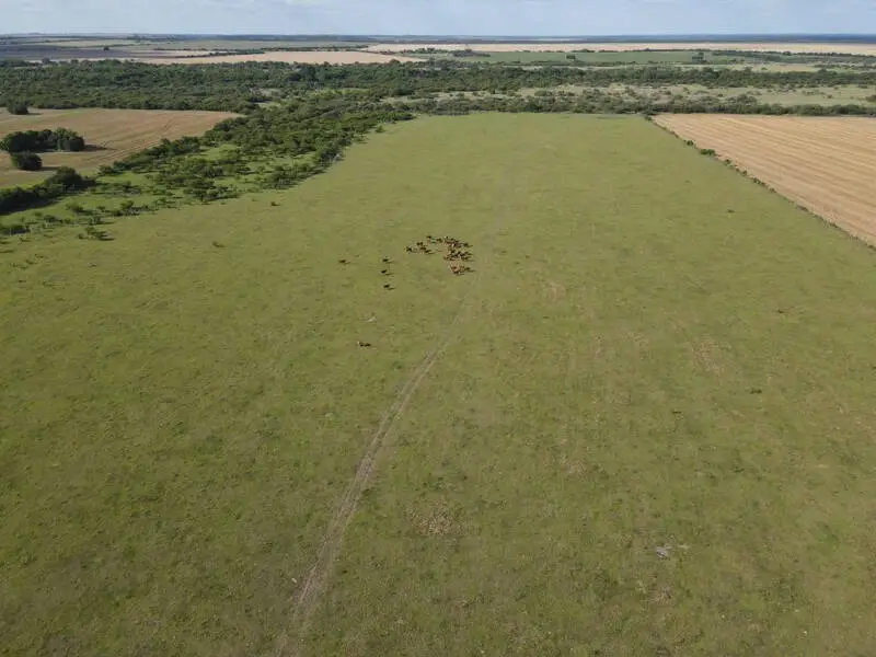 Venta de campos en Gualeguaychú,Campos ganaderos en venta Entre Ríos,Terrenos agrícolas en Gualeguaychú,Venta de campos mixtos en Entre Ríos,Oportunidades de inversión en tierras en Entre Ríos,Campos productivos en venta en Gualeguaychú,Inversiones rurales en Gualeguaychú,Venta de propiedades rurales en Entre Ríos,Terrenos para agricultura y ganadería en Gualeguaychú