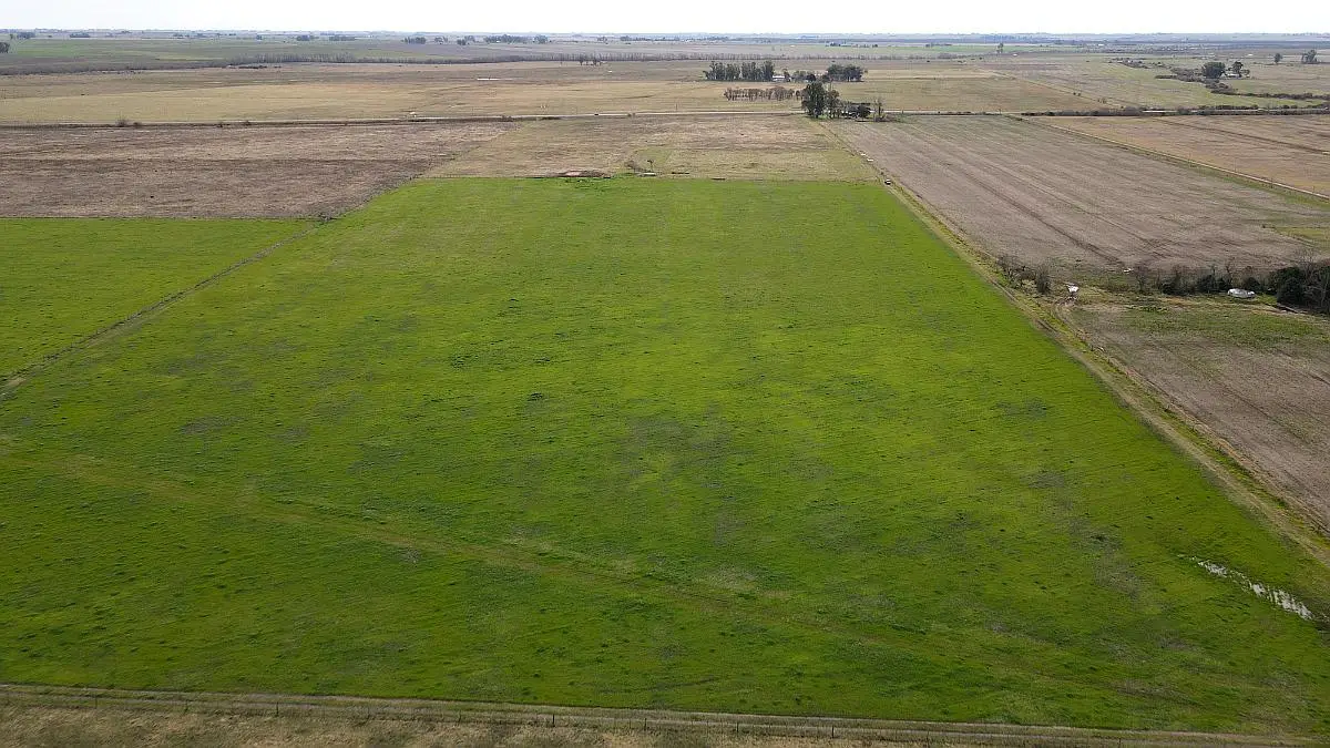 10 Hectáreas Agrícolas a 500 m de Ruta 16