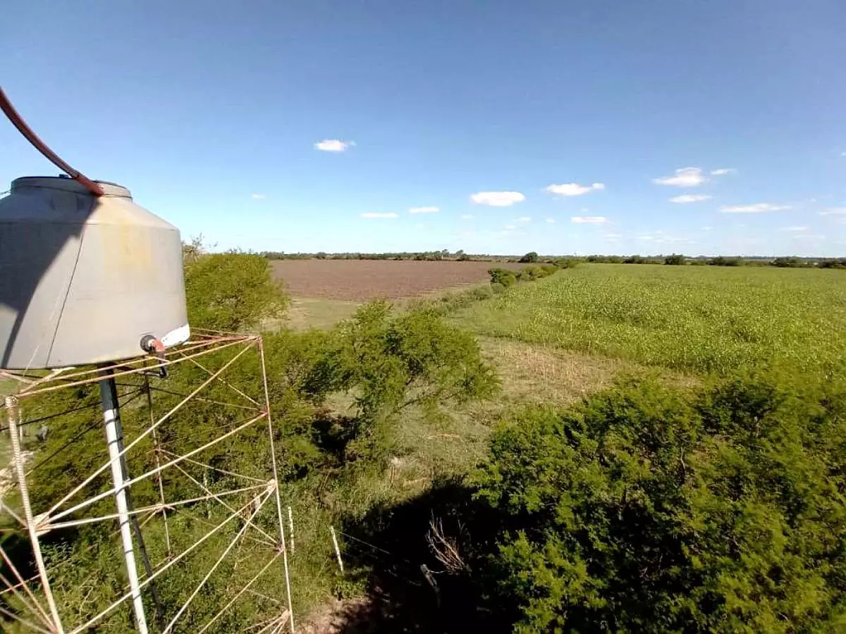 Venta de campos en Gualeguaychú,Campos ganaderos en venta Entre Ríos,Terrenos agrícolas en Gualeguaychú,Venta de campos mixtos en Entre Ríos,Oportunidades de inversión en tierras en Entre Ríos,Campos productivos en venta en Gualeguaychú,Inversiones rurales en Gualeguaychú,Venta de propiedades rurales en Entre Ríos,Terrenos para agricultura y ganadería en Gualeguaychú