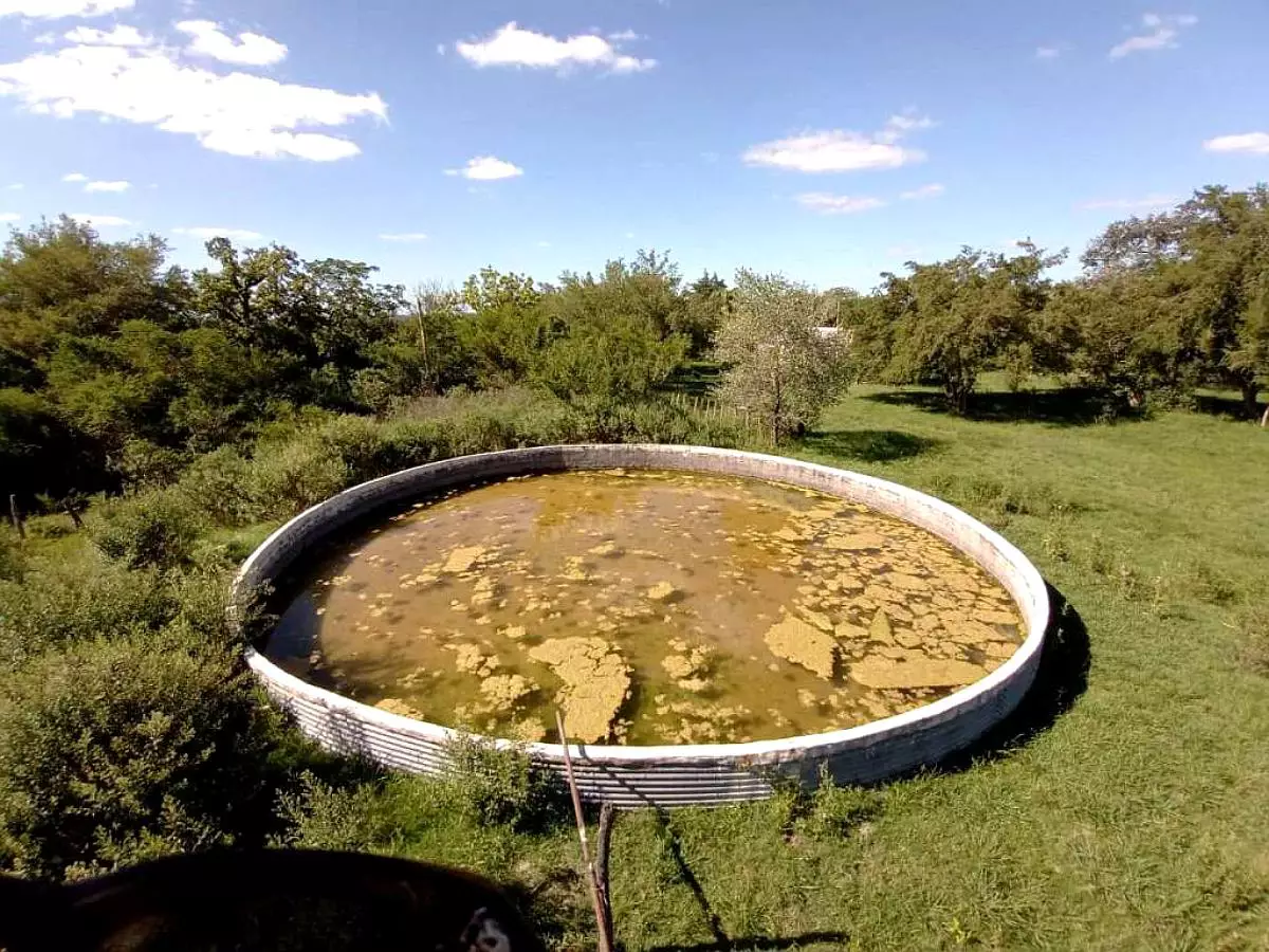 Venta de campos en Gualeguaychú,Campos ganaderos en venta Entre Ríos,Terrenos agrícolas en Gualeguaychú,Venta de campos mixtos en Entre Ríos,Oportunidades de inversión en tierras en Entre Ríos,Campos productivos en venta en Gualeguaychú,Inversiones rurales en Gualeguaychú,Venta de propiedades rurales en Entre Ríos,Terrenos para agricultura y ganadería en Gualeguaychú