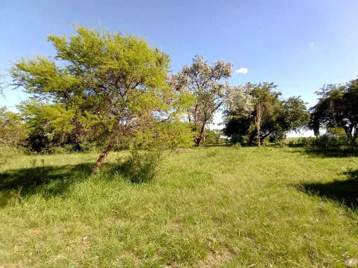 Venta de campos en Gualeguaychú,Campos ganaderos en venta Entre Ríos,Terrenos agrícolas en Gualeguaychú,Venta de campos mixtos en Entre Ríos,Oportunidades de inversión en tierras en Entre Ríos,Campos productivos en venta en Gualeguaychú,Inversiones rurales en Gualeguaychú,Venta de propiedades rurales en Entre Ríos,Terrenos para agricultura y ganadería en Gualeguaychú