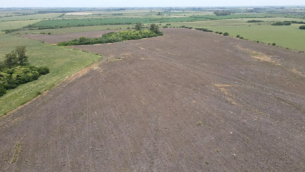 116 hectáreas agrícolas sobre ruta, caseros entre ríos a la venta (1)