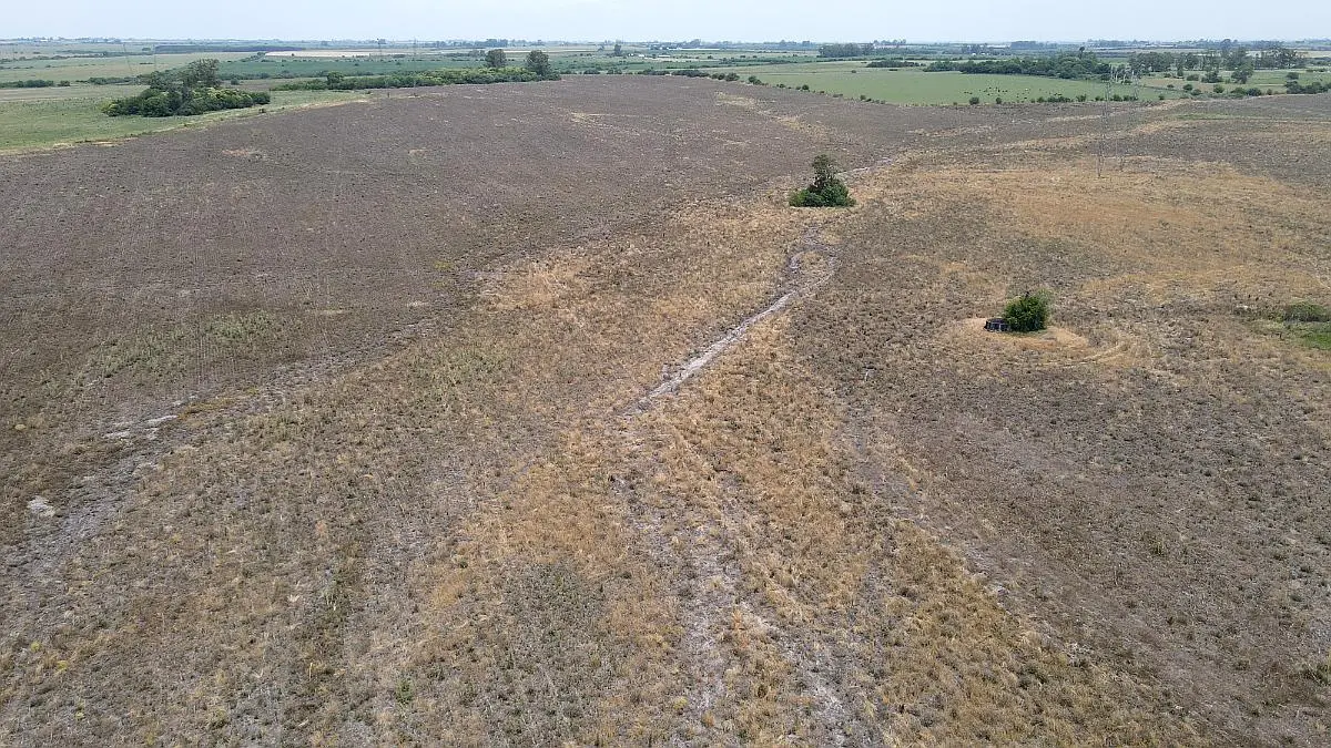 Venta de campos en Gualeguaychú,Campos ganaderos en venta Entre Ríos,Terrenos agrícolas en Gualeguaychú,Venta de campos mixtos en Entre Ríos,Oportunidades de inversión en tierras en Entre Ríos,Campos productivos en venta en Gualeguaychú,Inversiones rurales en Gualeguaychú,Venta de propiedades rurales en Entre Ríos,Terrenos para agricultura y ganadería en Gualeguaychú