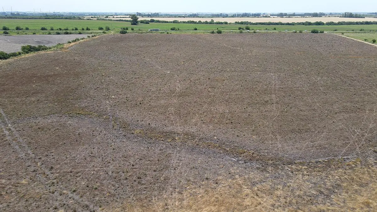 116 hectáreas agrícolas sobre ruta, caseros entre ríos a la venta (2)