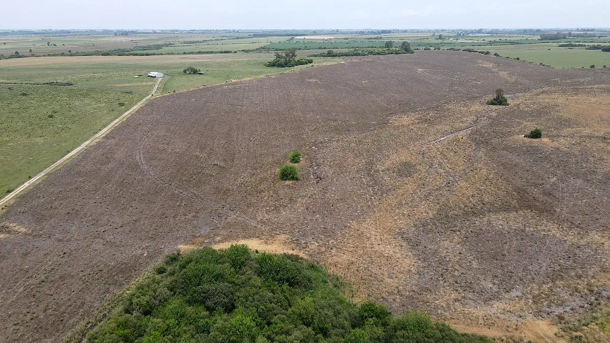 116 hectáreas agrícolas sobre ruta, caseros entre ríos a la venta (3)