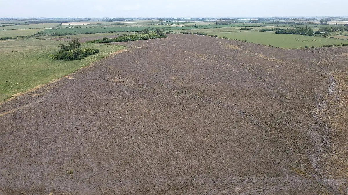 116 hectáreas agrícolas sobre ruta, caseros entre ríos a la venta (4)