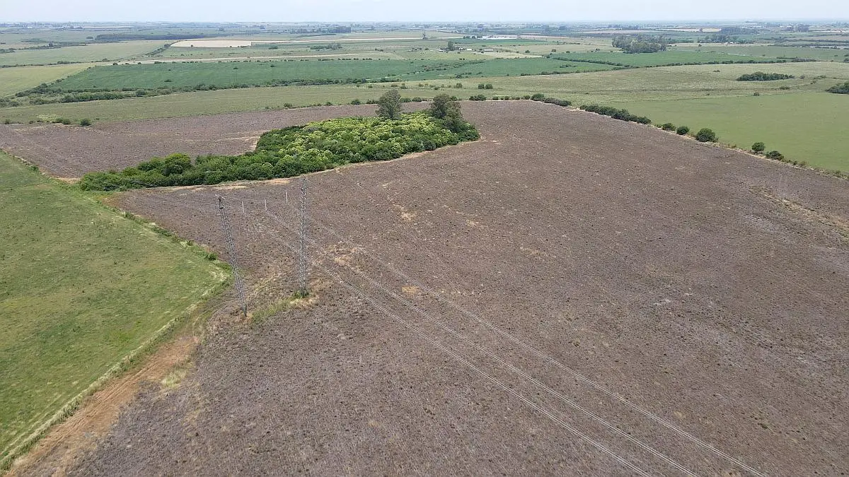 Venta de campos en Gualeguaychú,Campos ganaderos en venta Entre Ríos,Terrenos agrícolas en Gualeguaychú,Venta de campos mixtos en Entre Ríos,Oportunidades de inversión en tierras en Entre Ríos,Campos productivos en venta en Gualeguaychú,Inversiones rurales en Gualeguaychú,Venta de propiedades rurales en Entre Ríos,Terrenos para agricultura y ganadería en Gualeguaychú