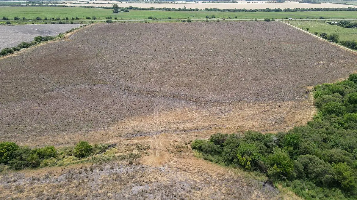 Venta de campos en Gualeguaychú,Campos ganaderos en venta Entre Ríos,Terrenos agrícolas en Gualeguaychú,Venta de campos mixtos en Entre Ríos,Oportunidades de inversión en tierras en Entre Ríos,Campos productivos en venta en Gualeguaychú,Inversiones rurales en Gualeguaychú,Venta de propiedades rurales en Entre Ríos,Terrenos para agricultura y ganadería en Gualeguaychú