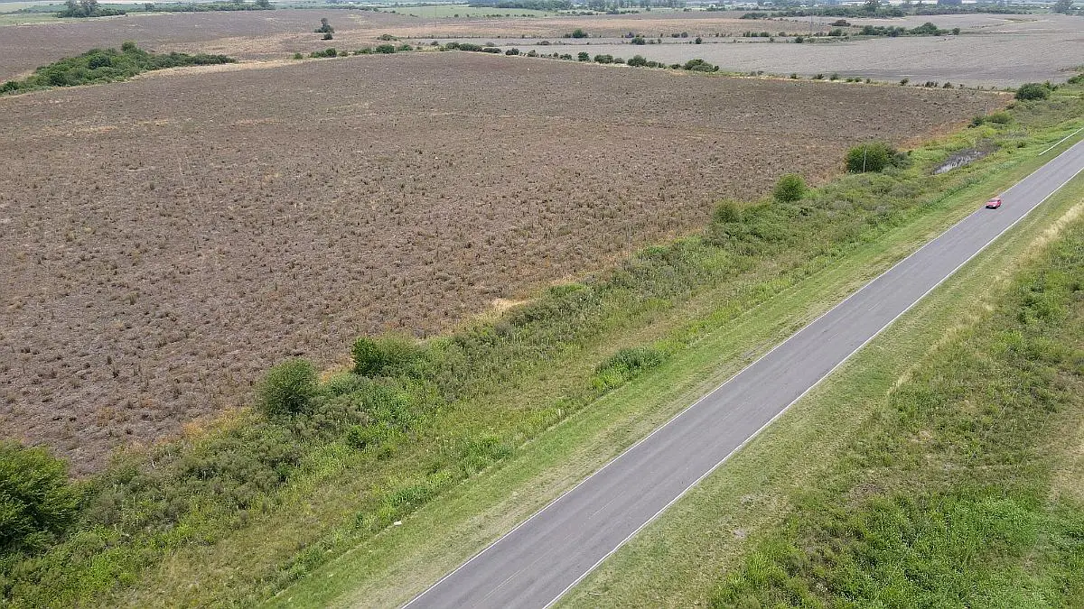 Venta de campos en Gualeguaychú,Campos ganaderos en venta Entre Ríos,Terrenos agrícolas en Gualeguaychú,Venta de campos mixtos en Entre Ríos,Oportunidades de inversión en tierras en Entre Ríos,Campos productivos en venta en Gualeguaychú,Inversiones rurales en Gualeguaychú,Venta de propiedades rurales en Entre Ríos,Terrenos para agricultura y ganadería en Gualeguaychú