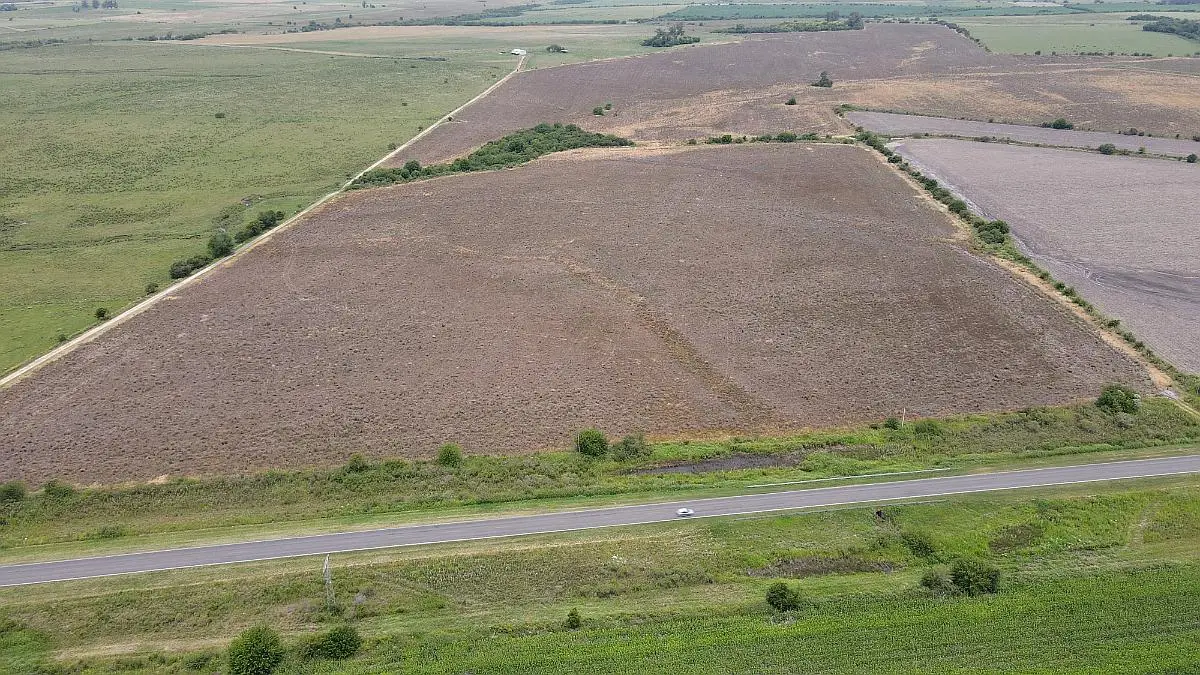Venta de campos en Gualeguaychú,Campos ganaderos en venta Entre Ríos,Terrenos agrícolas en Gualeguaychú,Venta de campos mixtos en Entre Ríos,Oportunidades de inversión en tierras en Entre Ríos,Campos productivos en venta en Gualeguaychú,Inversiones rurales en Gualeguaychú,Venta de propiedades rurales en Entre Ríos,Terrenos para agricultura y ganadería en Gualeguaychú