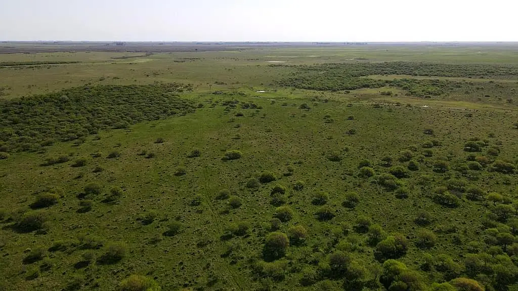 Venta de campos en Gualeguaychú,Campos ganaderos en venta Entre Ríos,Terrenos agrícolas en Gualeguaychú,Venta de campos mixtos en Entre Ríos,Oportunidades de inversión en tierras en Entre Ríos,Campos productivos en venta en Gualeguaychú,Inversiones rurales en Gualeguaychú,Venta de propiedades rurales en Entre Ríos,Terrenos para agricultura y ganadería en Gualeguaychú