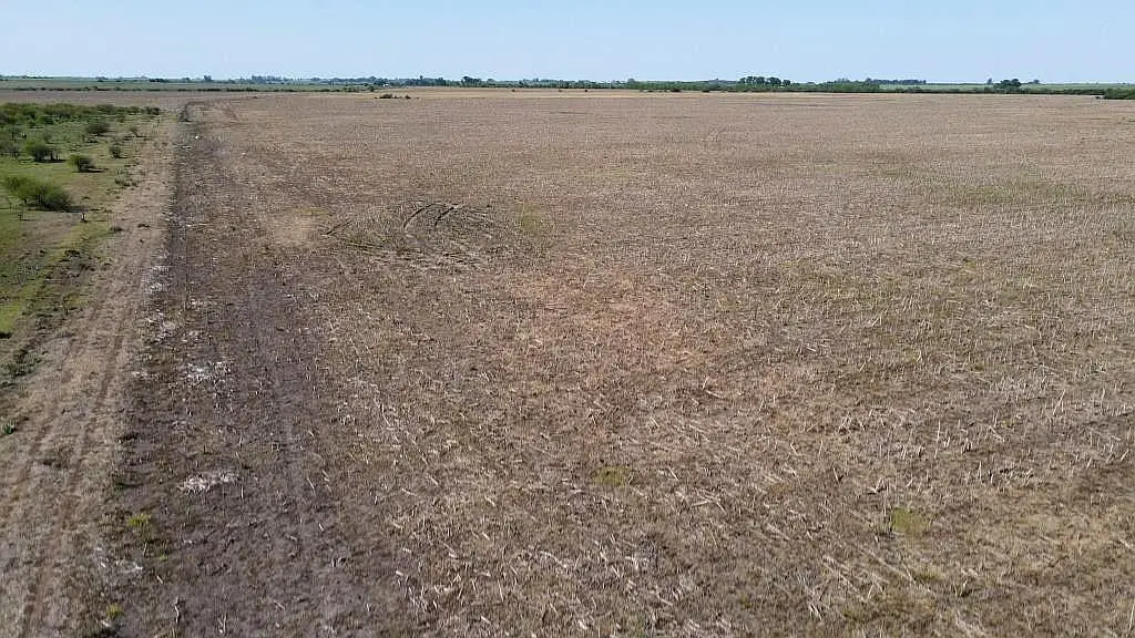 1500 has ganaderas con 200 has de chacra, gualeguaychú campos entrerrianos mejores campos de entre rios (4)