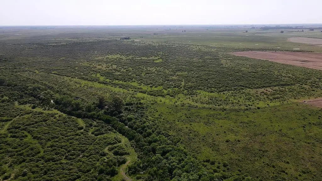 1500 has ganaderas con 200 has de chacra, gualeguaychú campos entrerrianos mejores campos de entre rios (5)