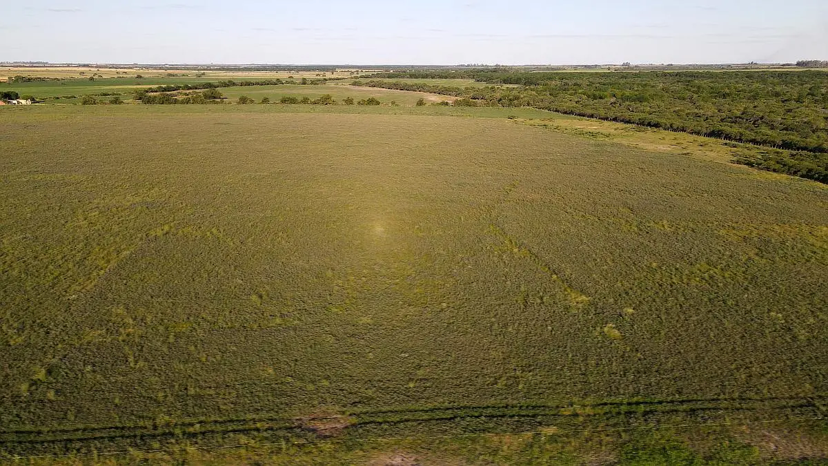 260 hectáreas mixtas, maciá rosario del tala. entre rios badaracco propiedades mejor inmobiliaria (10)