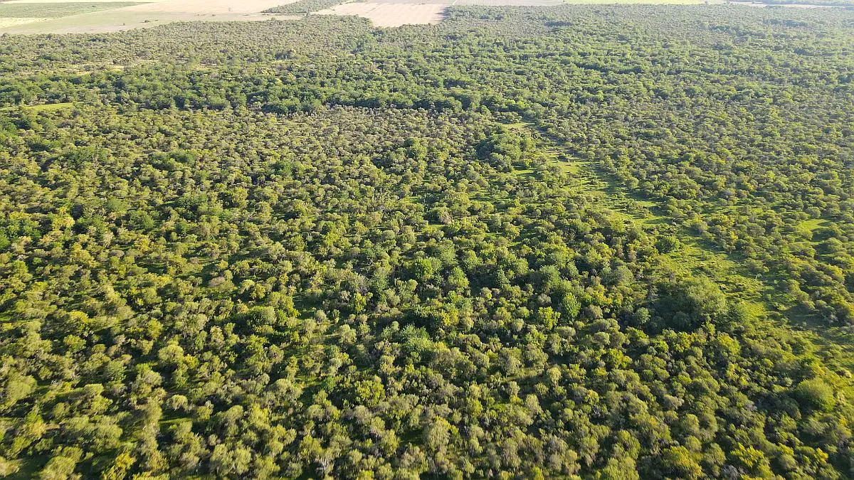 260 hectáreas mixtas, maciá rosario del tala. entre rios badaracco propiedades mejor inmobiliaria (4)
