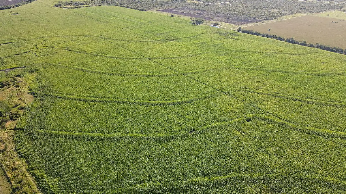 Venta de campos en Gualeguaychú,Campos ganaderos en venta Entre Ríos,Terrenos agrícolas en Gualeguaychú,Venta de campos mixtos en Entre Ríos,Oportunidades de inversión en tierras en Entre Ríos,Campos productivos en venta en Gualeguaychú,Inversiones rurales en Gualeguaychú,Venta de propiedades rurales en Entre Ríos,Terrenos para agricultura y ganadería en Gualeguaychú