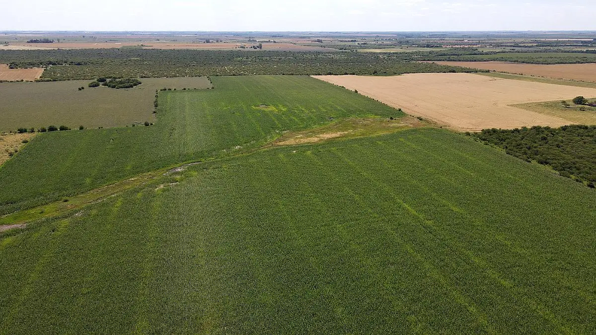 40 hectareas agricolas en venta en rosario del tala badaracco propiedades (1)