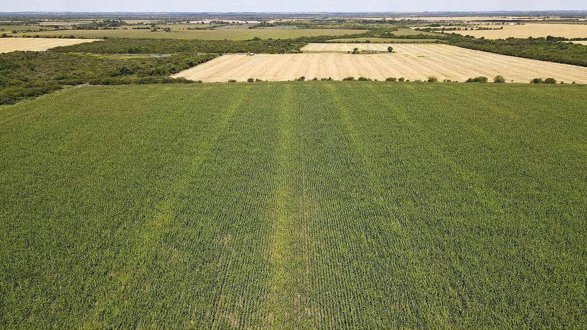 Venta de campos en Gualeguaychú,Campos ganaderos en venta Entre Ríos,Terrenos agrícolas en Gualeguaychú,Venta de campos mixtos en Entre Ríos,Oportunidades de inversión en tierras en Entre Ríos,Campos productivos en venta en Gualeguaychú,Inversiones rurales en Gualeguaychú,Venta de propiedades rurales en Entre Ríos,Terrenos para agricultura y ganadería en Gualeguaychú