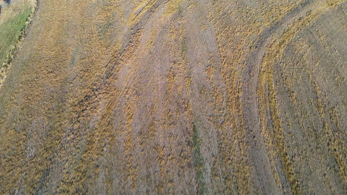 Venta de campos en Gualeguaychú,Campos ganaderos en venta Entre Ríos,Terrenos agrícolas en Gualeguaychú,Venta de campos mixtos en Entre Ríos,Oportunidades de inversión en tierras en Entre Ríos,Campos productivos en venta en Gualeguaychú,Inversiones rurales en Gualeguaychú,Venta de propiedades rurales en Entre Ríos,Terrenos para agricultura y ganadería en Gualeguaychú