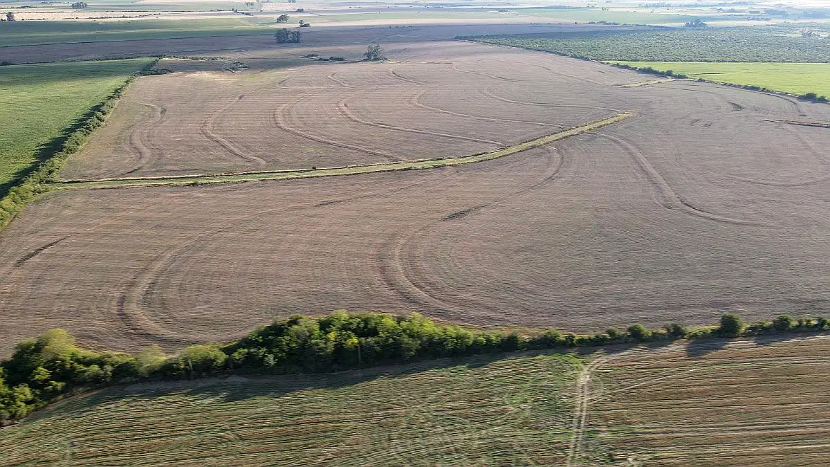 70b9383d5bbe40e2a9163d779f03b54a