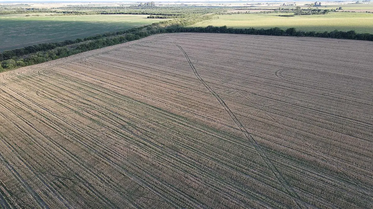 Venta de campos en Gualeguaychú,Campos ganaderos en venta Entre Ríos,Terrenos agrícolas en Gualeguaychú,Venta de campos mixtos en Entre Ríos,Oportunidades de inversión en tierras en Entre Ríos,Campos productivos en venta en Gualeguaychú,Inversiones rurales en Gualeguaychú,Venta de propiedades rurales en Entre Ríos,Terrenos para agricultura y ganadería en Gualeguaychú