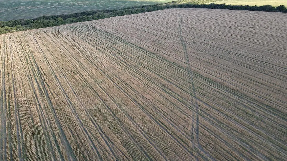 814e047da6f34210a0ddf8324808b8d0