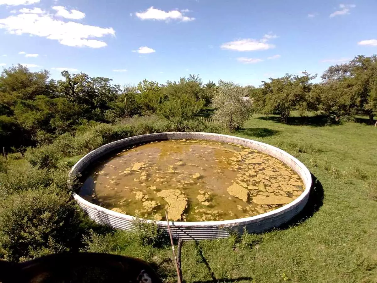 Venta de campos en Gualeguaychú,Campos ganaderos en venta Entre Ríos,Terrenos agrícolas en Gualeguaychú,Venta de campos mixtos en Entre Ríos,Oportunidades de inversión en tierras en Entre Ríos,Campos productivos en venta en Gualeguaychú,Inversiones rurales en Gualeguaychú,Venta de propiedades rurales en Entre Ríos,Terrenos para agricultura y ganadería en Gualeguaychú