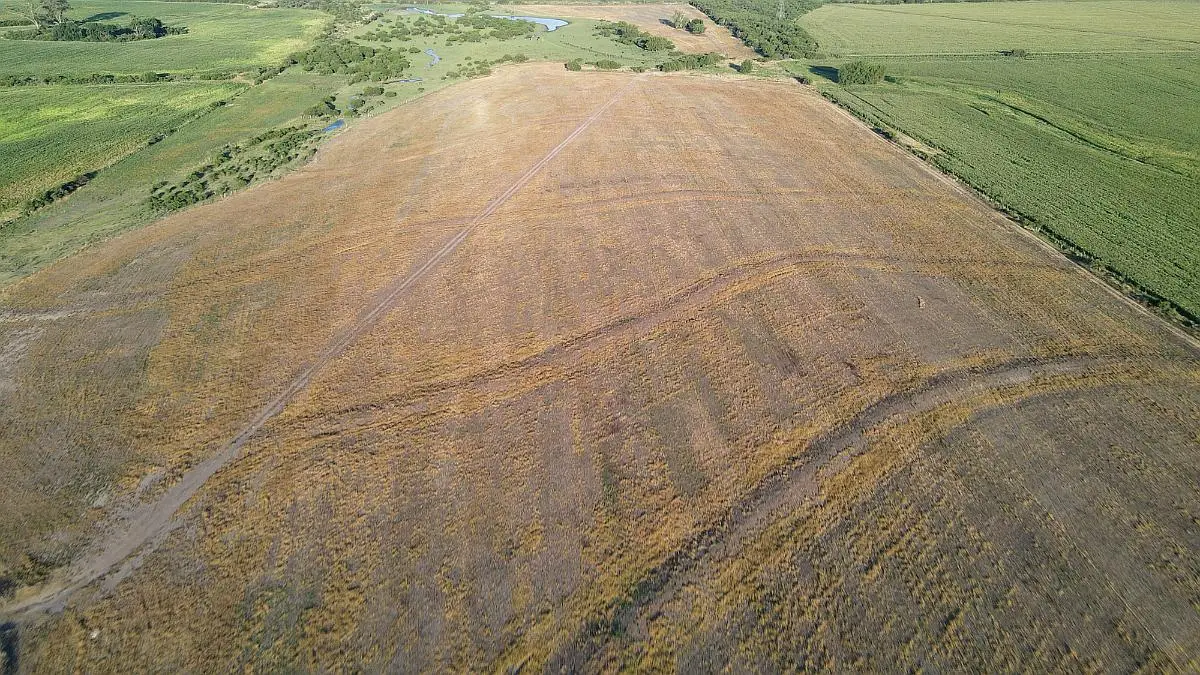 Venta de campos en Gualeguaychú,Campos ganaderos en venta Entre Ríos,Terrenos agrícolas en Gualeguaychú,Venta de campos mixtos en Entre Ríos,Oportunidades de inversión en tierras en Entre Ríos,Campos productivos en venta en Gualeguaychú,Inversiones rurales en Gualeguaychú,Venta de propiedades rurales en Entre Ríos,Terrenos para agricultura y ganadería en Gualeguaychú