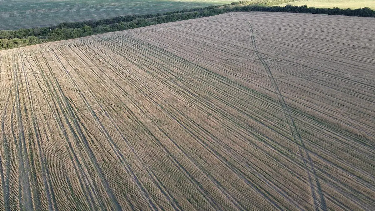 Venta de campos en Gualeguaychú,Campos ganaderos en venta Entre Ríos,Terrenos agrícolas en Gualeguaychú,Venta de campos mixtos en Entre Ríos,Oportunidades de inversión en tierras en Entre Ríos,Campos productivos en venta en Gualeguaychú,Inversiones rurales en Gualeguaychú,Venta de propiedades rurales en Entre Ríos,Terrenos para agricultura y ganadería en Gualeguaychú