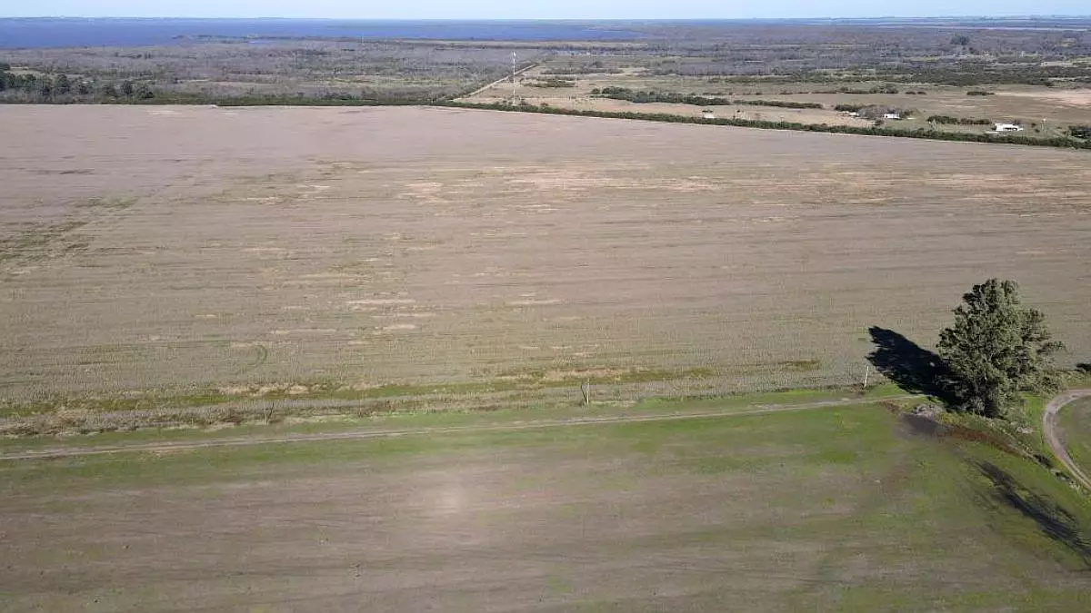 en venta campos entrerrianos 915 hectáreas mixtas con todas las mejoras, gualeguaychú (6)