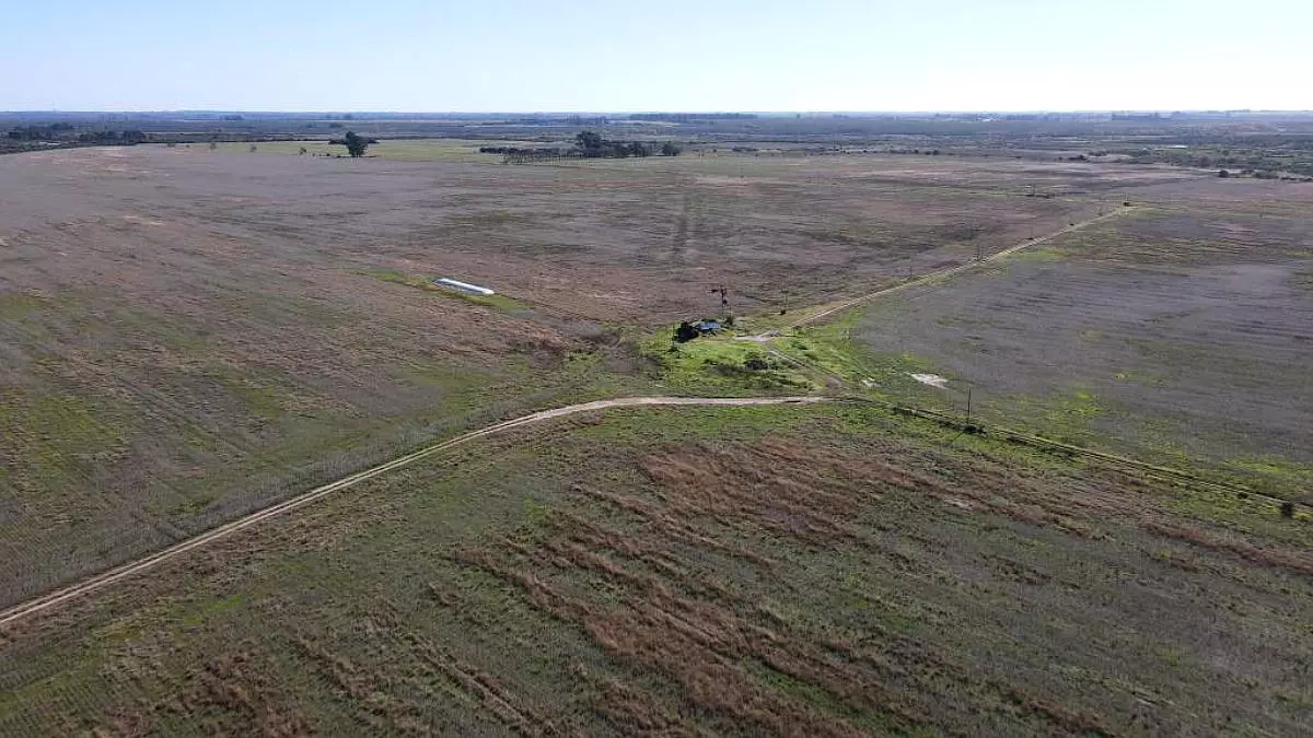 en venta campos entrerrianos 915 hectáreas mixtas con todas las mejoras, gualeguaychú (7)