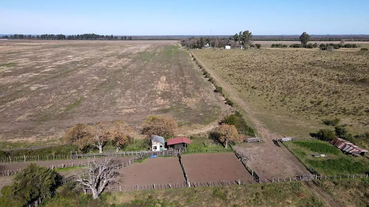 en venta campos entrerrianos 915 hectáreas mixtas con todas las mejoras, gualeguaychú (9)