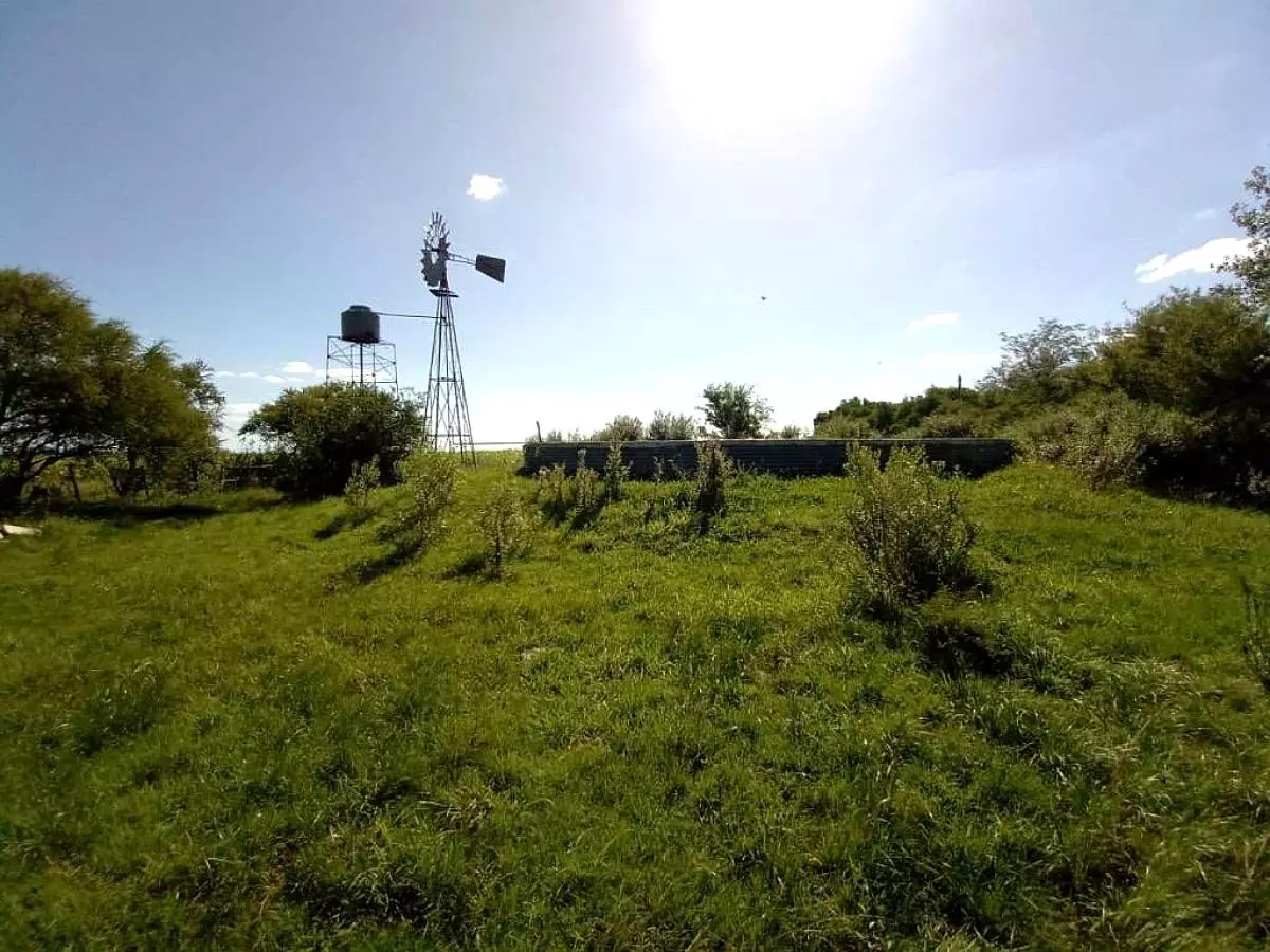 Venta de campos en Gualeguaychú,Campos ganaderos en venta Entre Ríos,Terrenos agrícolas en Gualeguaychú,Venta de campos mixtos en Entre Ríos,Oportunidades de inversión en tierras en Entre Ríos,Campos productivos en venta en Gualeguaychú,Inversiones rurales en Gualeguaychú,Venta de propiedades rurales en Entre Ríos,Terrenos para agricultura y ganadería en Gualeguaychú