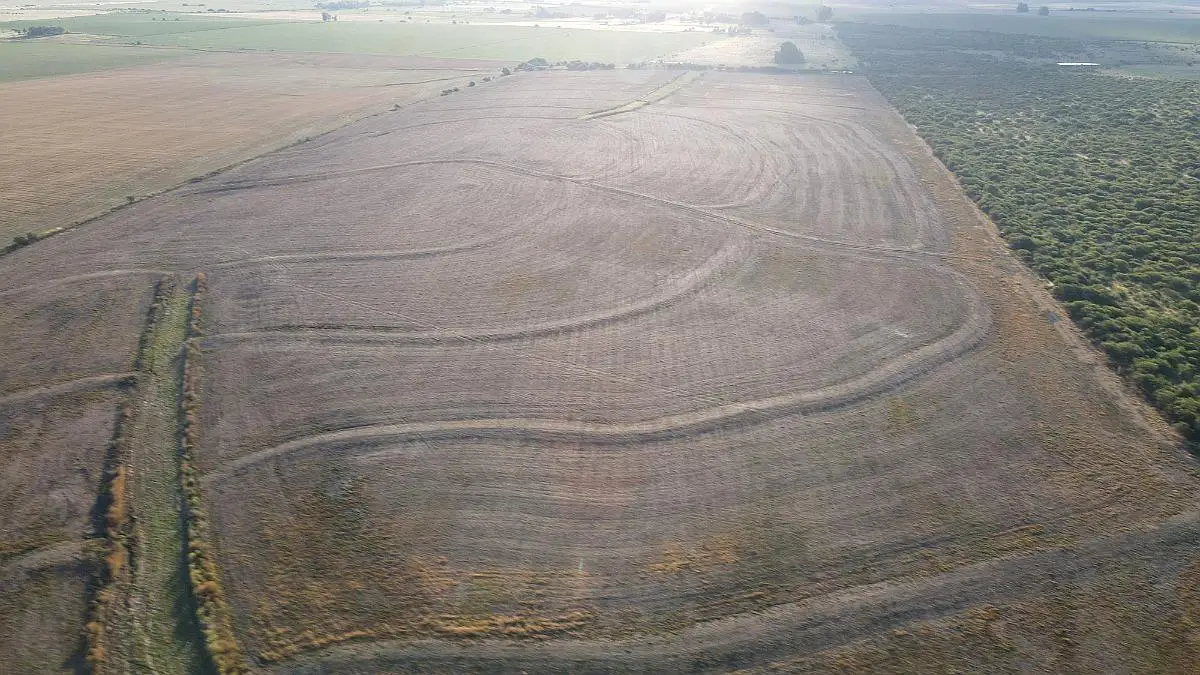 Venta de campos en Gualeguaychú,Campos ganaderos en venta Entre Ríos,Terrenos agrícolas en Gualeguaychú,Venta de campos mixtos en Entre Ríos,Oportunidades de inversión en tierras en Entre Ríos,Campos productivos en venta en Gualeguaychú,Inversiones rurales en Gualeguaychú,Venta de propiedades rurales en Entre Ríos,Terrenos para agricultura y ganadería en Gualeguaychú