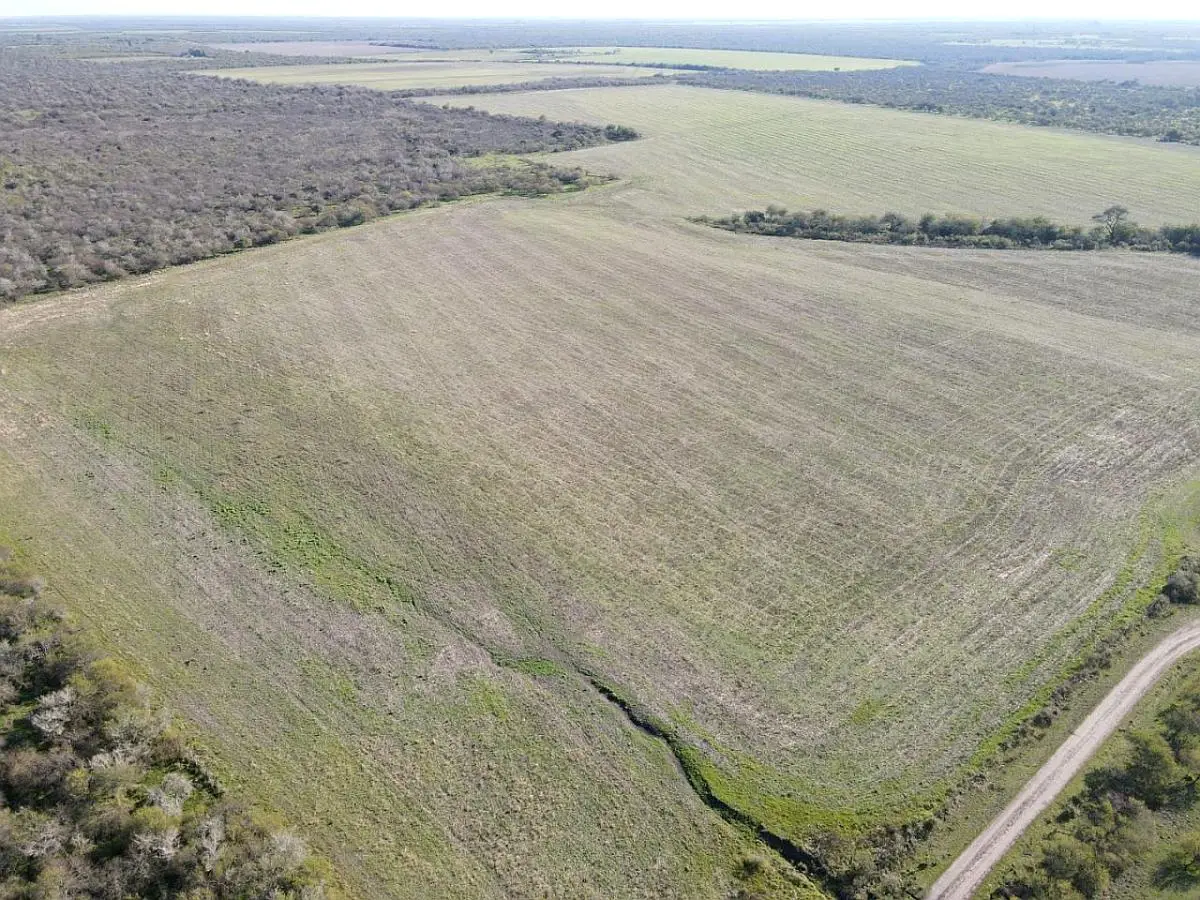 Venta de campos en Gualeguaychú,Campos ganaderos en venta Entre Ríos,Terrenos agrícolas en Gualeguaychú,Venta de campos mixtos en Entre Ríos,Oportunidades de inversión en tierras en Entre Ríos,Campos productivos en venta en Gualeguaychú,Inversiones rurales en Gualeguaychú,Venta de propiedades rurales en Entre Ríos,Terrenos para agricultura y ganadería en Gualeguaychú