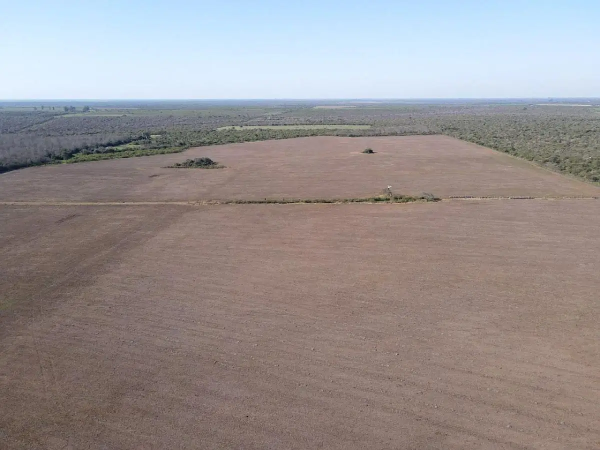 Venta de campos en Gualeguaychú,Campos ganaderos en venta Entre Ríos,Terrenos agrícolas en Gualeguaychú,Venta de campos mixtos en Entre Ríos,Oportunidades de inversión en tierras en Entre Ríos,Campos productivos en venta en Gualeguaychú,Inversiones rurales en Gualeguaychú,Venta de propiedades rurales en Entre Ríos,Terrenos para agricultura y ganadería en Gualeguaychú