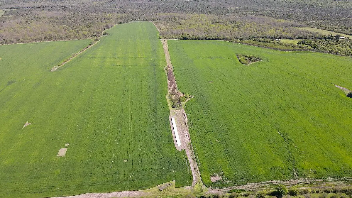 Venta de campos en Gualeguaychú,Campos ganaderos en venta Entre Ríos,Terrenos agrícolas en Gualeguaychú,Venta de campos mixtos en Entre Ríos,Oportunidades de inversión en tierras en Entre Ríos,Campos productivos en venta en Gualeguaychú,Inversiones rurales en Gualeguaychú,Venta de propiedades rurales en Entre Ríos,Terrenos para agricultura y ganadería en Gualeguaychú