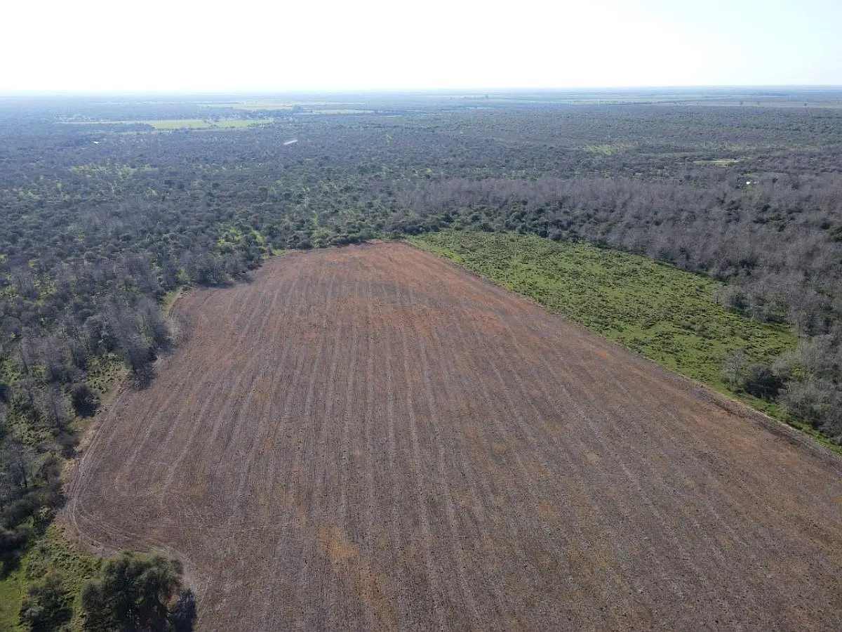 Venta de campos en Gualeguaychú,Campos ganaderos en venta Entre Ríos,Terrenos agrícolas en Gualeguaychú,Venta de campos mixtos en Entre Ríos,Oportunidades de inversión en tierras en Entre Ríos,Campos productivos en venta en Gualeguaychú,Inversiones rurales en Gualeguaychú,Venta de propiedades rurales en Entre Ríos,Terrenos para agricultura y ganadería en Gualeguaychú