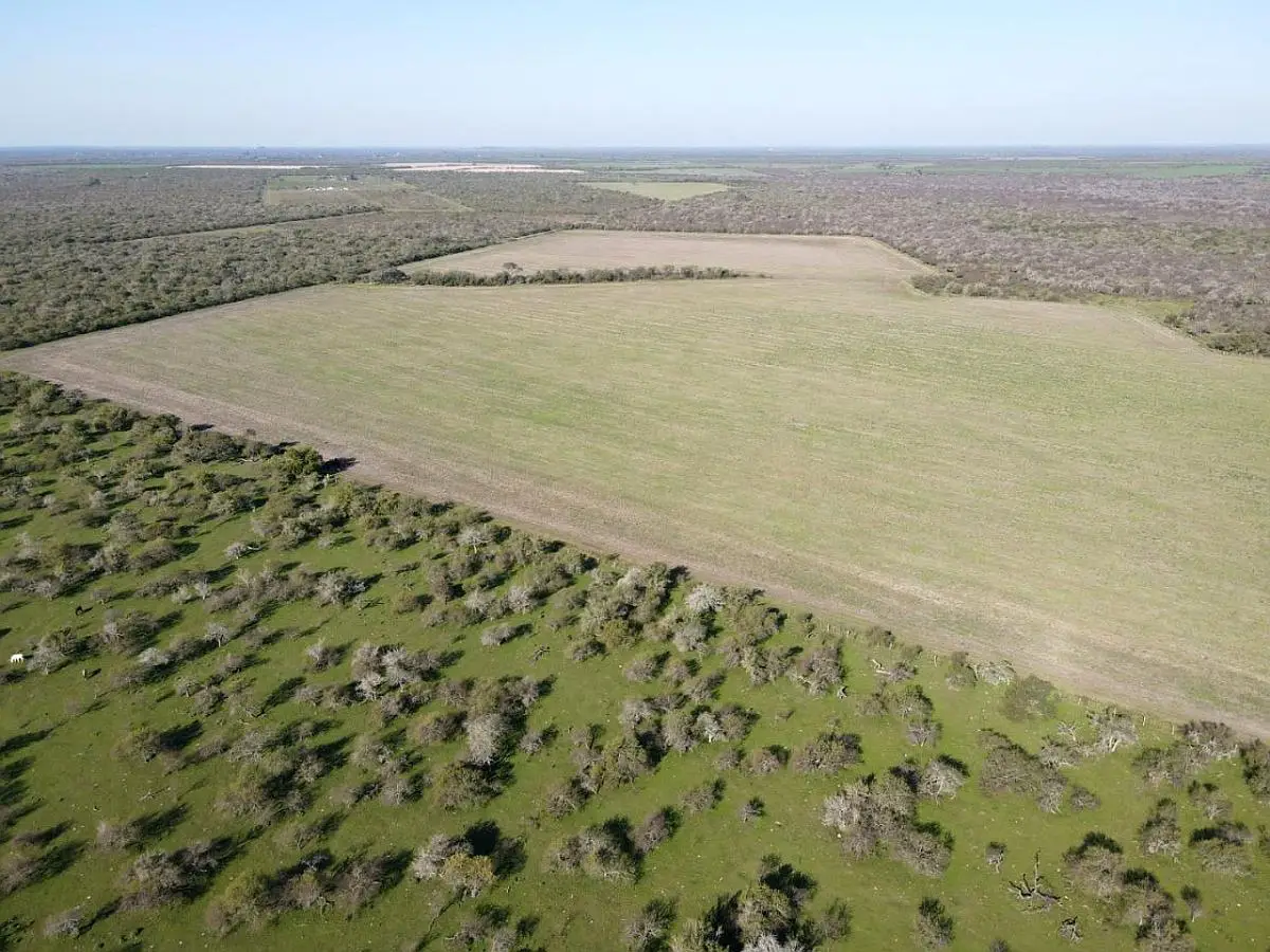 venta de campos en villaguay lucas norte campos entrerrianos mejores campos de entre rios (6)