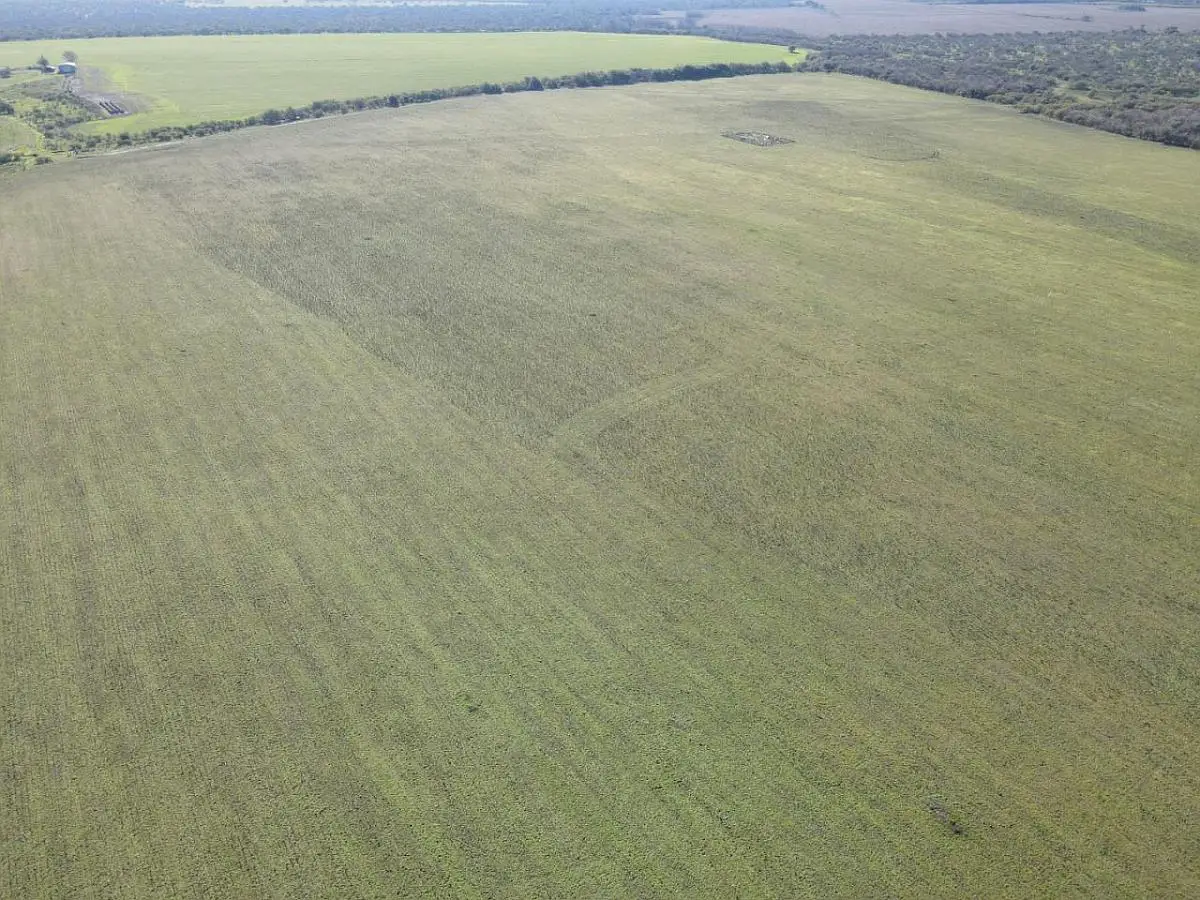 venta de campos en villaguay lucas norte campos entrerrianos mejores campos de entre rios (7)