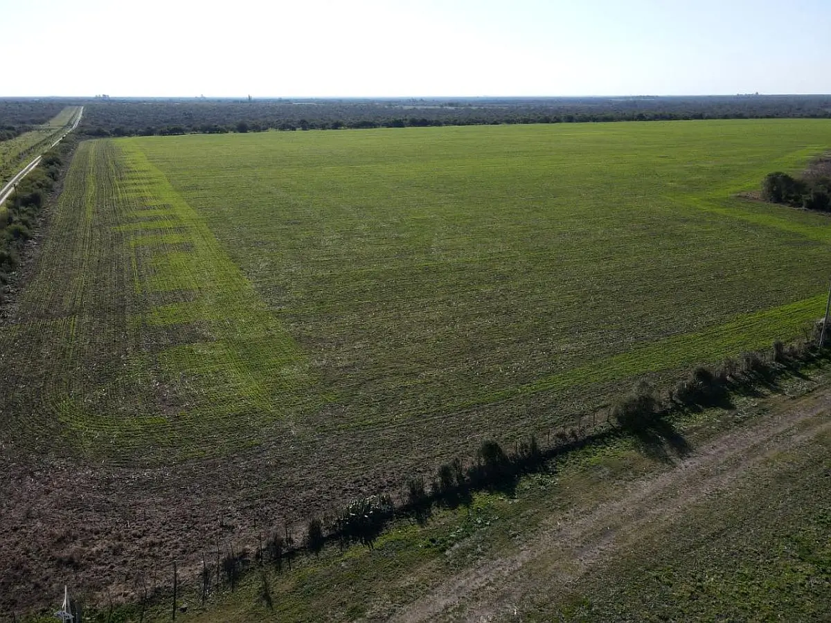 venta de campos en villaguay lucas norte campos entrerrianos mejores campos de entre rios (8)