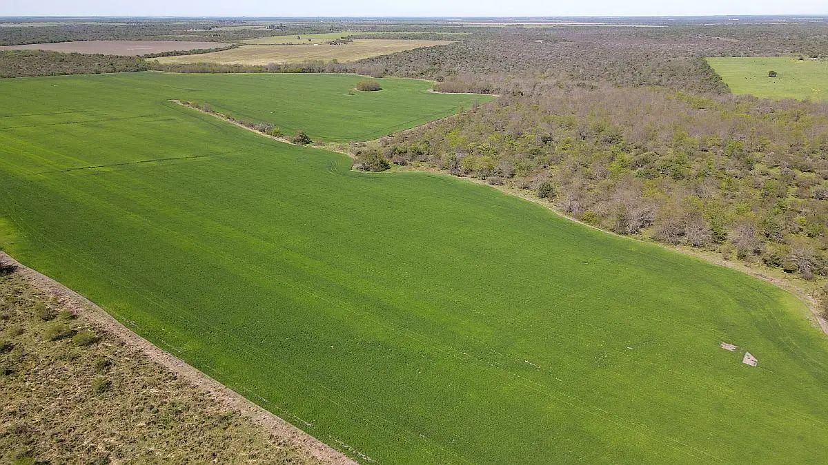 venta de campos en villaguay lucas norte campos entrerrianos mejores campos de entre rios (9)