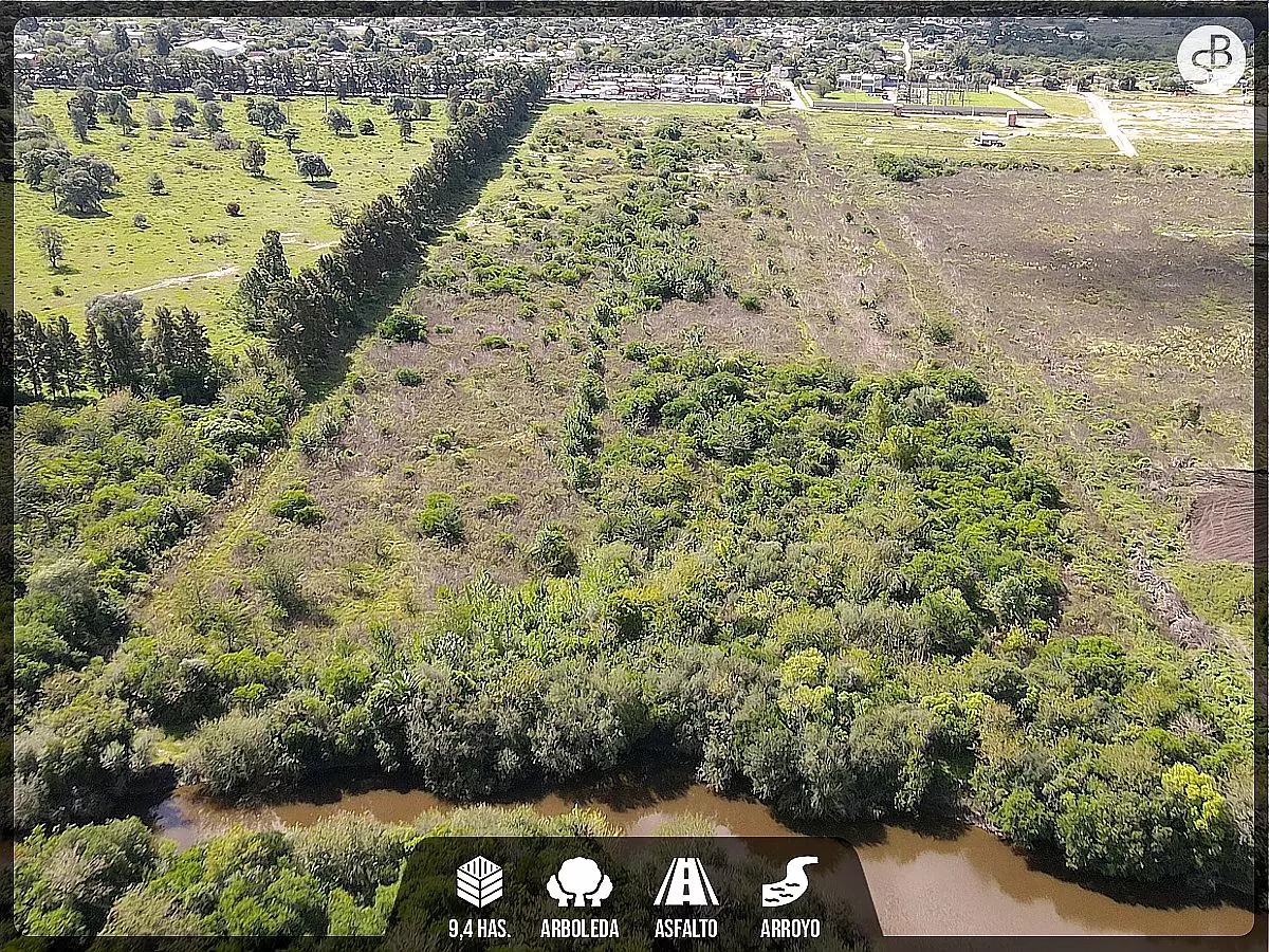 Venta de campos en Gualeguaychú,Campos ganaderos en venta Entre Ríos,Terrenos agrícolas en Gualeguaychú,Venta de campos mixtos en Entre Ríos,Oportunidades de inversión en tierras en Entre Ríos,Campos productivos en venta en Gualeguaychú,Inversiones rurales en Gualeguaychú,Venta de propiedades rurales en Entre Ríos,Terrenos para agricultura y ganadería en Gualeguaychú