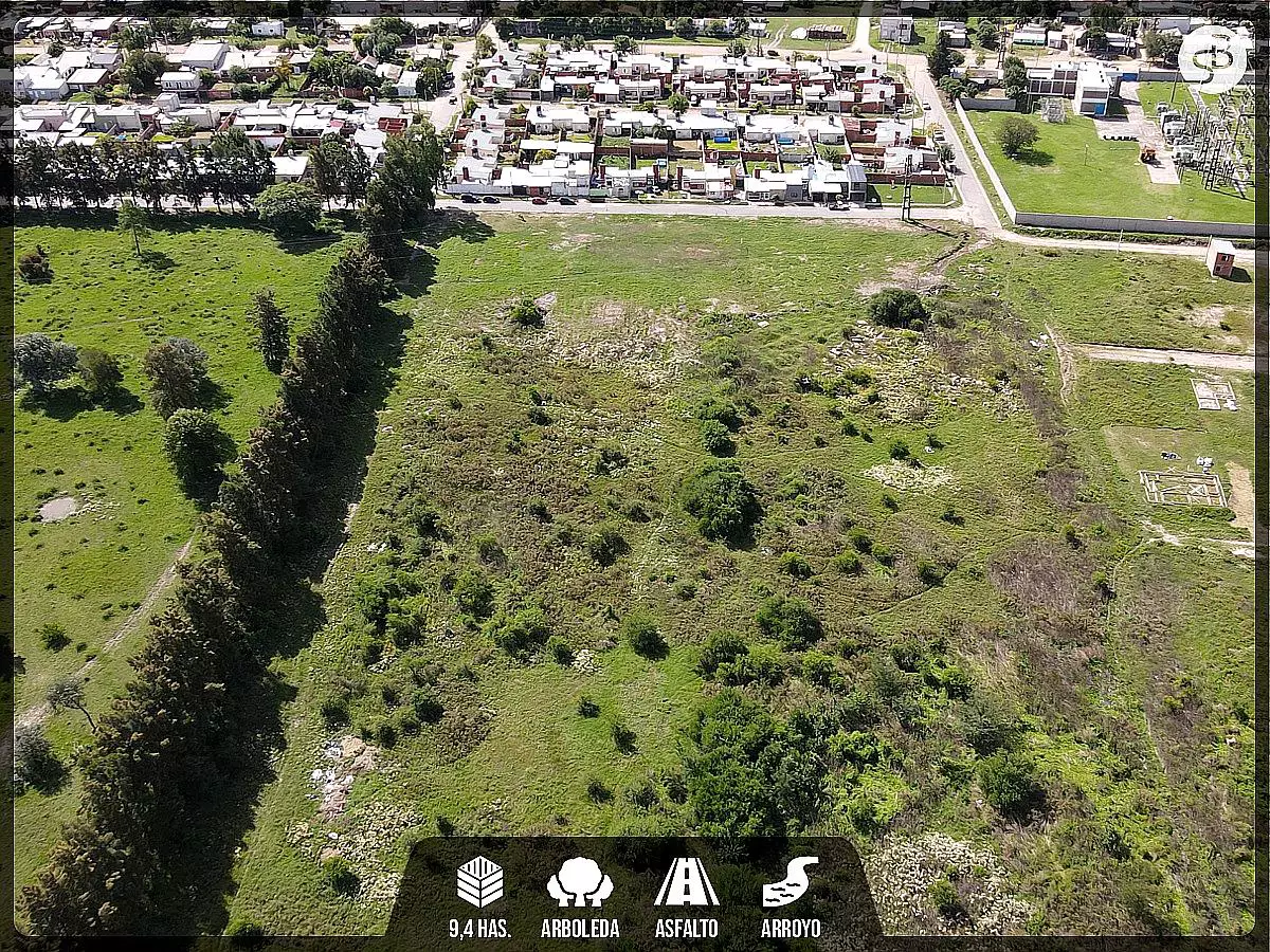 Venta de campos en Gualeguaychú,Campos ganaderos en venta Entre Ríos,Terrenos agrícolas en Gualeguaychú,Venta de campos mixtos en Entre Ríos,Oportunidades de inversión en tierras en Entre Ríos,Campos productivos en venta en Gualeguaychú,Inversiones rurales en Gualeguaychú,Venta de propiedades rurales en Entre Ríos,Terrenos para agricultura y ganadería en Gualeguaychú