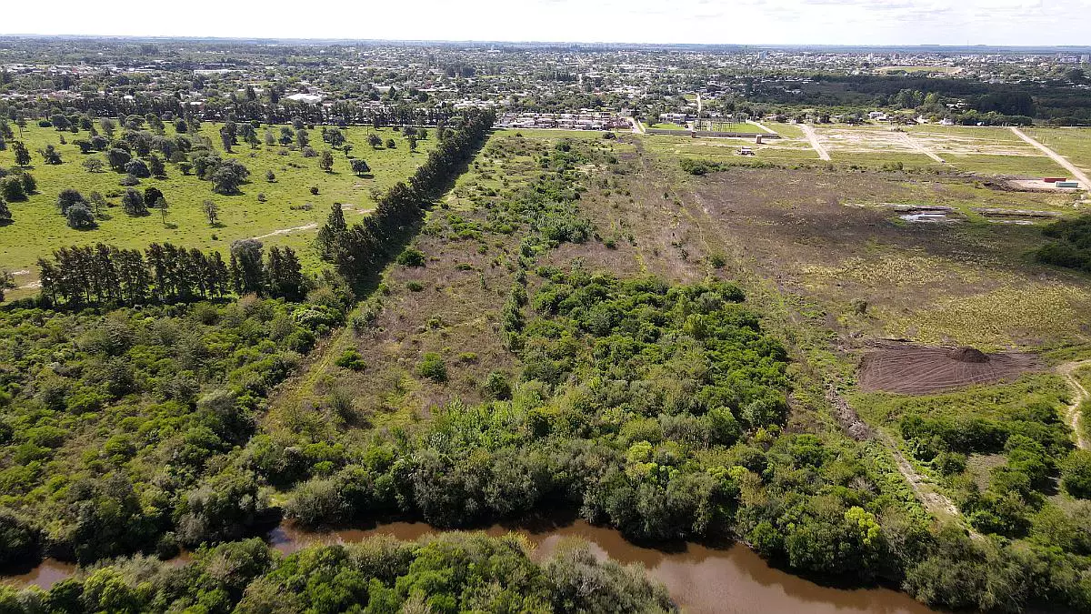Venta de campos en Gualeguaychú,Campos ganaderos en venta Entre Ríos,Terrenos agrícolas en Gualeguaychú,Venta de campos mixtos en Entre Ríos,Oportunidades de inversión en tierras en Entre Ríos,Campos productivos en venta en Gualeguaychú,Inversiones rurales en Gualeguaychú,Venta de propiedades rurales en Entre Ríos,Terrenos para agricultura y ganadería en Gualeguaychú